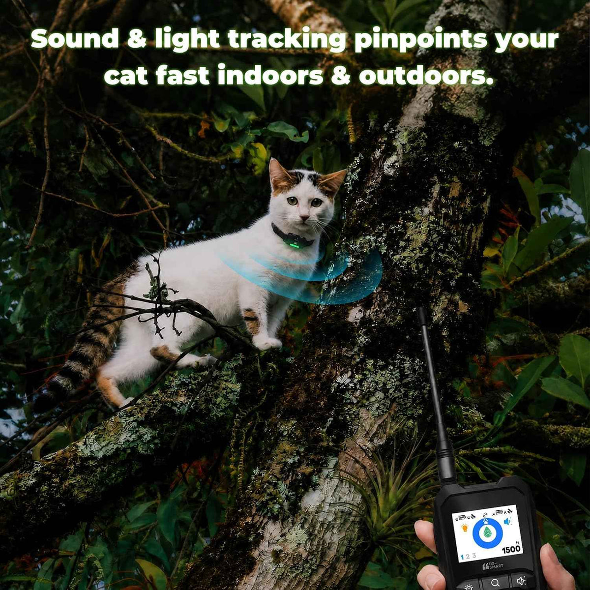 Cat Tracker with Handheld Controller & Collar