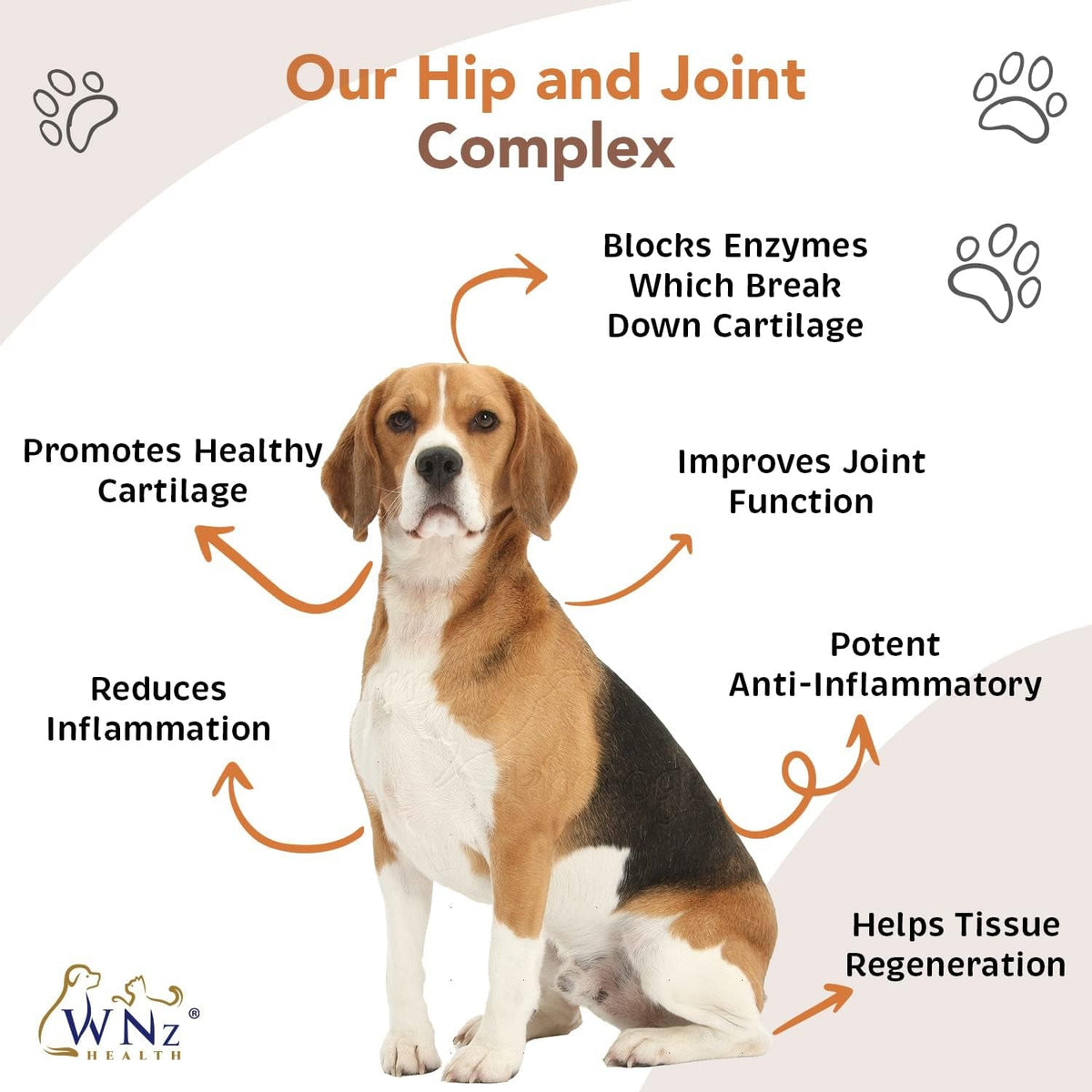 WetNozeHealth Hip & Joint Dog Chews – 90 Count