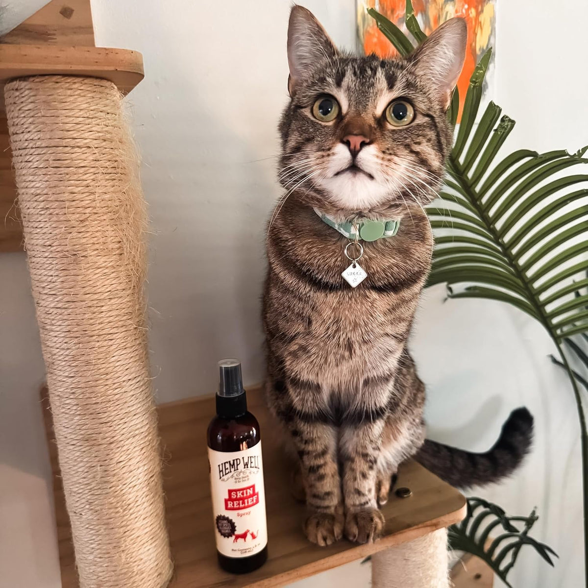 Hemp Skin Care Spray for Dogs & Cats