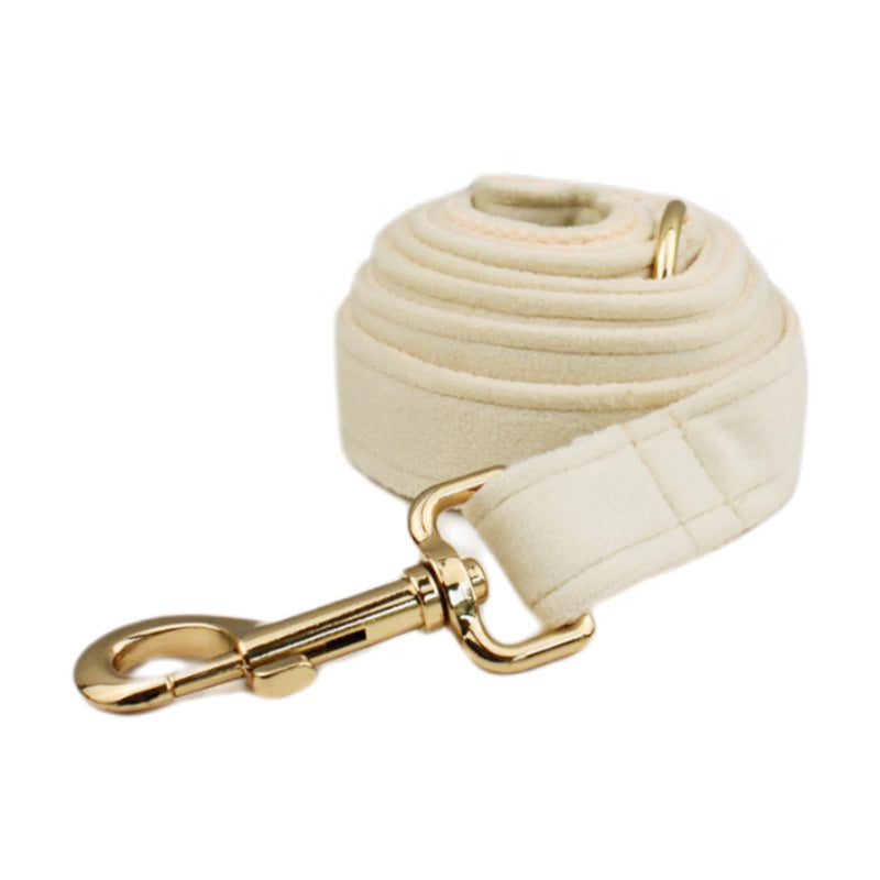 Multi-Style Dog Collar & Accessories