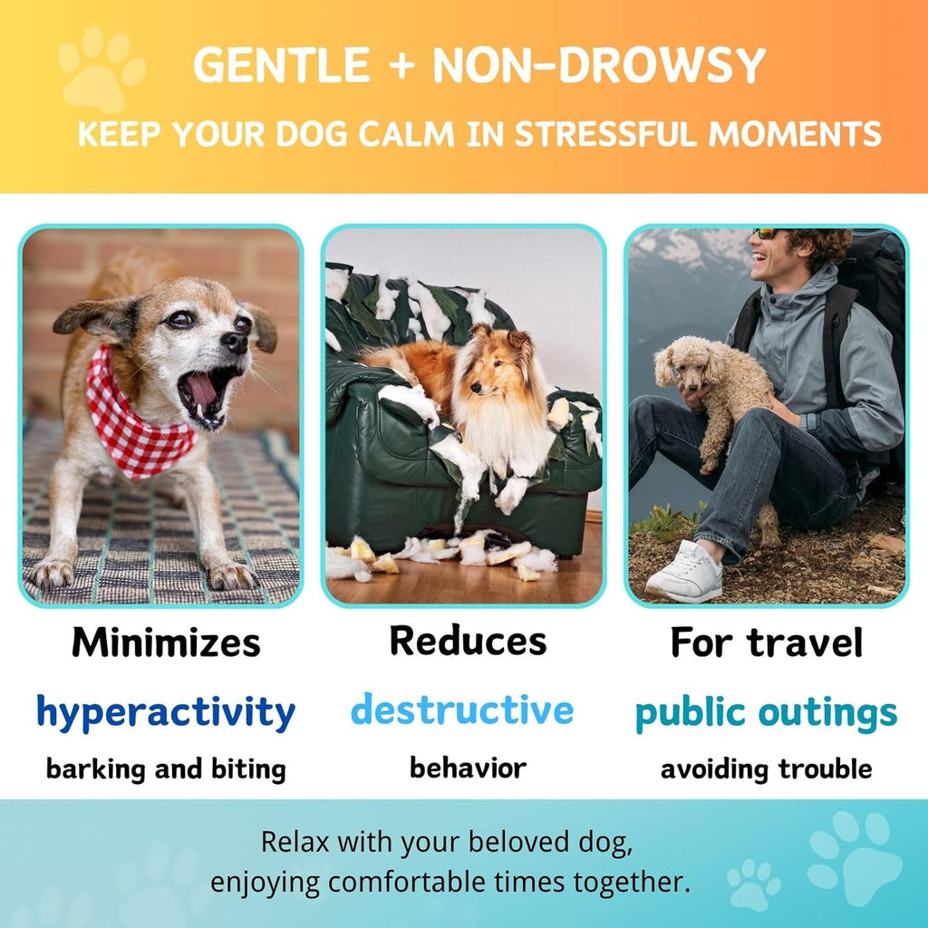 Hemp Calming Soft Chews for Dogs – 200 Count