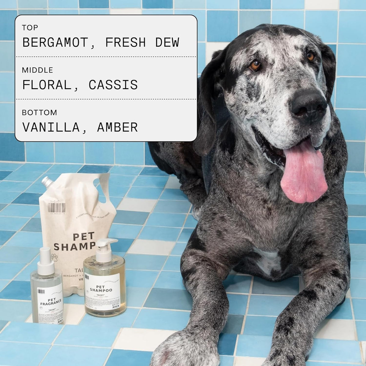 DedCool 01 Taunt Dog Shampoo & Fragrance Bundle