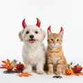 Dog and cat wearing red devil horns headbands for Halloween