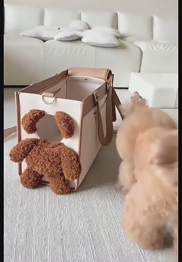 Teddy Bear Pet Carrier Bag - Head-Out Design